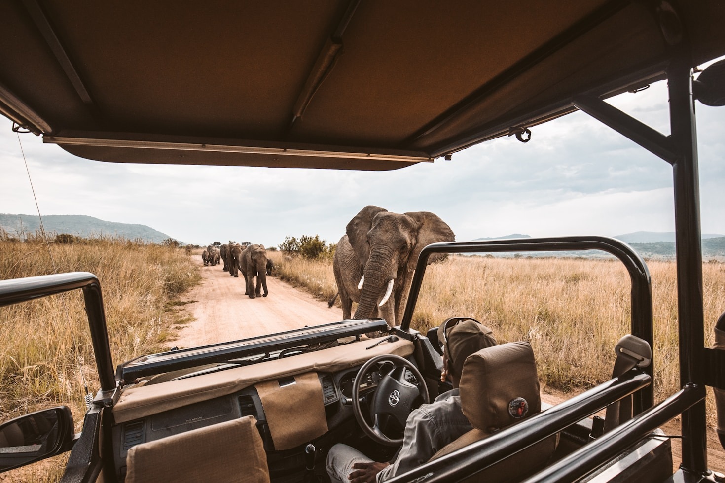 Top Reasons to Choose Poriscape for Your Next Safari